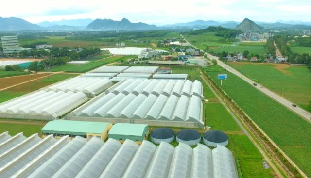 http://thoxuan.thanhhoa.gov.vn/file/download/636128507.html