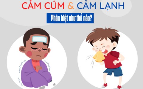 Bệnh cúm và cách phòng tránh